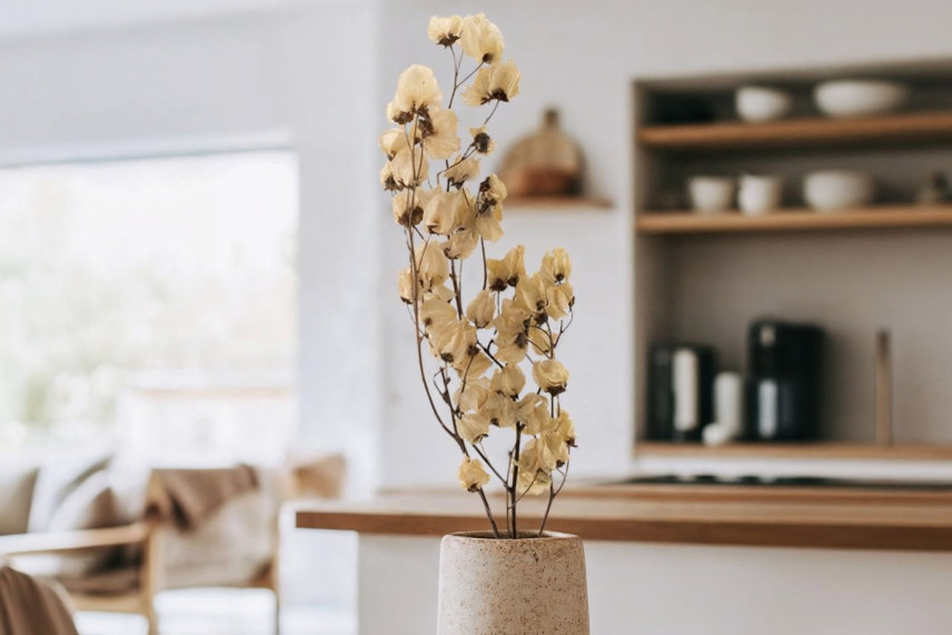 Branche de Bougainvillier séché - Crème