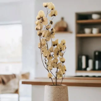 Ramo di Bougainvillea essiccato - Crema