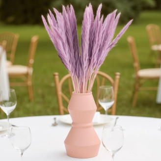 Mini pampa s&eacute;ch&eacute; - 20 Unit&eacute;s - Lavender Lane