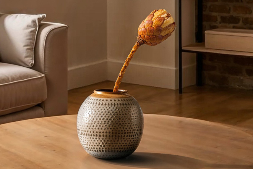 Protea Grandiceps Stabilized - 1 Stem - Pink