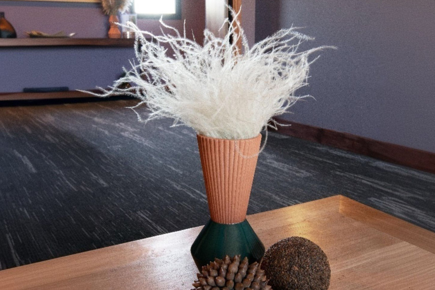 Stipa Pennata Getrocknet - Natur