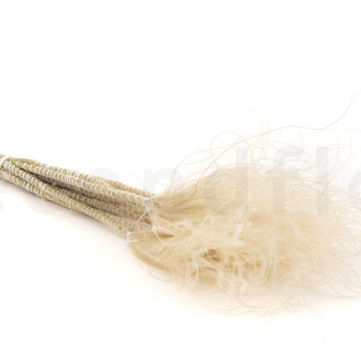 Stipa Pennata Dried - Natural