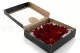Preserved Poinsettia Red (x4) 8