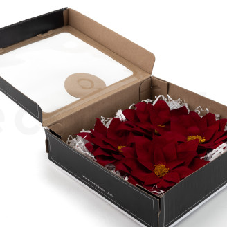 Poinsettia Stabilized - Box of 4 - Red