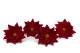 Konservierter Weihnachtsstern Rot (x4) 4