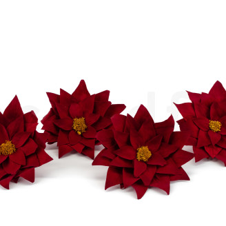 Poinsettia Stabilized - Box of 4 - Red