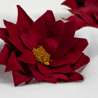 Poinsettia Stabilized - Box of 4 - Red