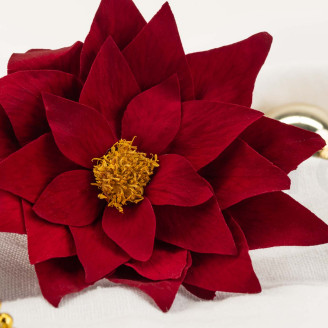 Poinsettia Stabilized - Box of 4 - Red