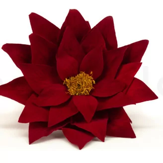 Poinsettia stabilis&eacute; Rouge (x4)