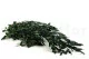 Konservierter Parvifolia-Eukalyptus Gr&uuml;n 7