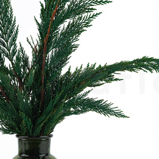 Thuja stabilizzata - Verde