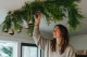 Thuja preservada 12