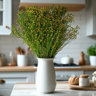 Preserved Broom Green and Yellow