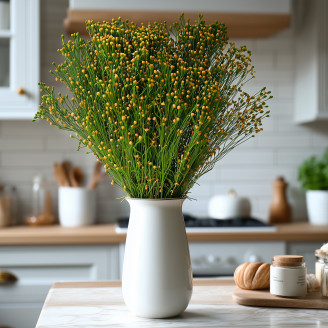 Stabilized Broom flower - Green