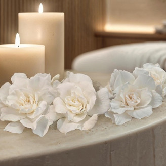 Gardenia preservata - Scatola da 3 - Bianco
