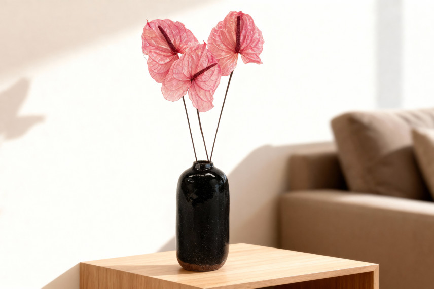 Anthurium konserviert - Verpackung 3 St. - Princess Pink