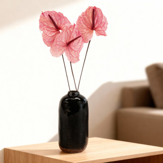 Anthurium preserved - Box of 3 - Princess Pink