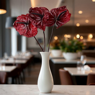 Anthurium stabilized - Box of 3 - Wine Red