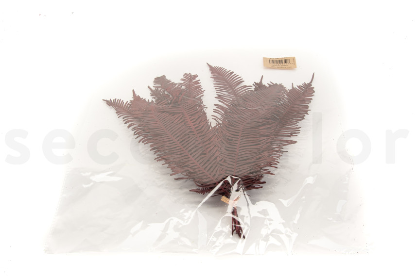 Double Fern Stabilized - Red