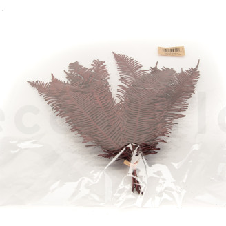 Fougère Double Stabilisée - Rouge