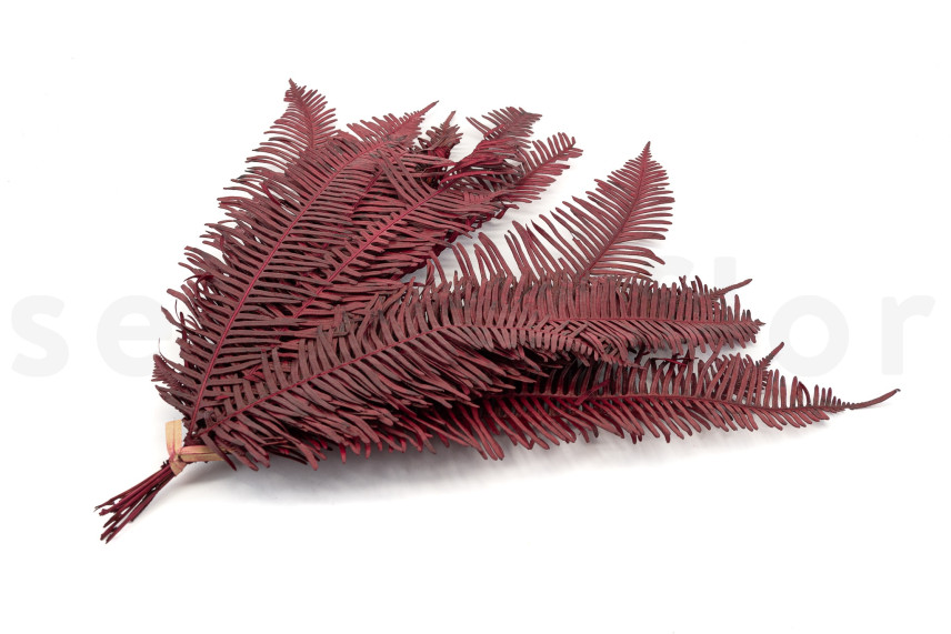 Double Fern Stabilized - Red
