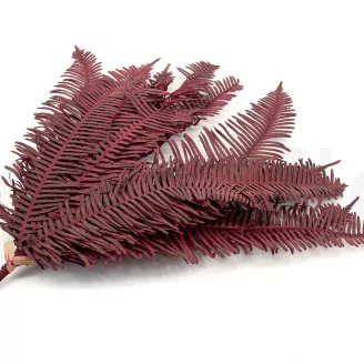 Felce Doppia stabilizzata Rosso