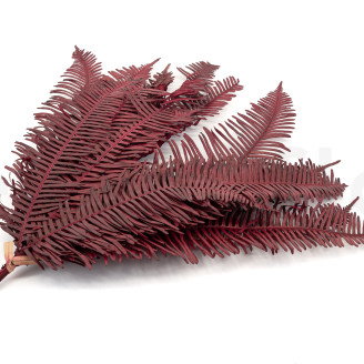 Felce Doppia Stabilizzata - Rosso