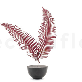 Felce Doppia Stabilizzata - Rosso