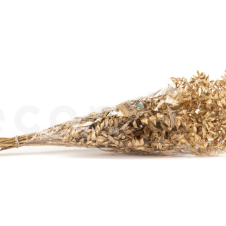 Rusco preservado - Dorado