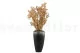 Preserved Ruscus Gold 6