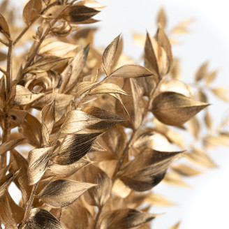 Ruscus Preserved - Gold