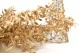 Preserved Ruscus Gold 8
