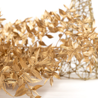 Ruscus Preserved - Gold