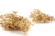 Preserved Ruscus Gold 10