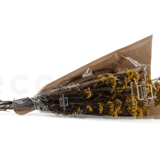 Diosmi Stabilisé - Bouquet - Jaune