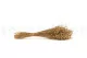 Dried Flax Gold 4