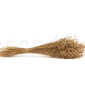 Dried Flax - Bouquet - Gold
