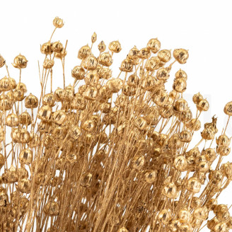 Getrockneter Lein - Strauß - Gold