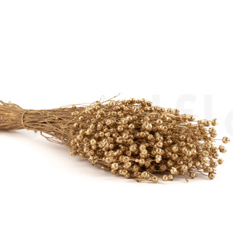 Dried Flax - Bouquet - Gold