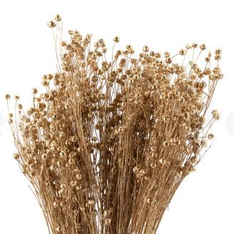 Dried Flax - Bouquet - Gold