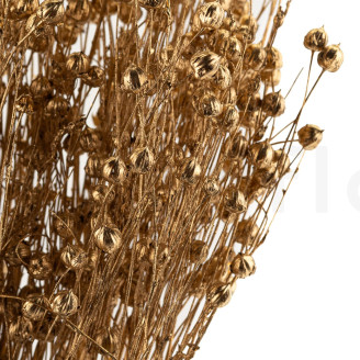 Dried Flax - Bouquet - Gold