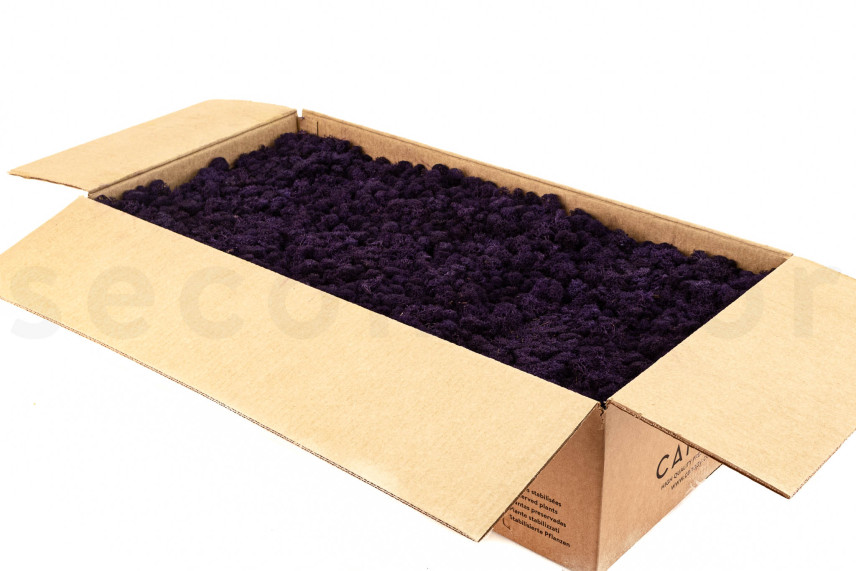 Lichen konserviert - Großkarton - Purple