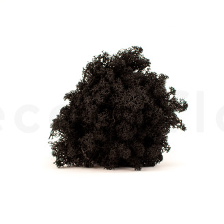 Lichene Stabilizzato - Cartone sfuso - Black