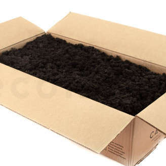 Preserved Reindeer Moss - Bulk Box - Black