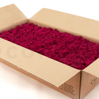 Lichen Préservé - Carton vrac - Fuchsia