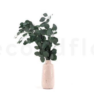 Preserved Eucalyptus Populus - Green