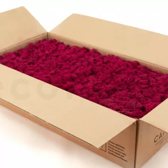 Preserved Reindeer Moss Fuchsia (Bulk Box)
