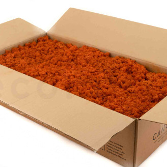 Lichen Stabilis&eacute; - Carton vrac - Orange