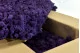 Lichen stabilis&eacute; Violet (Carton) 1