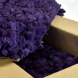 Liquen preservado Morado (Cart&oacute;n a granel)